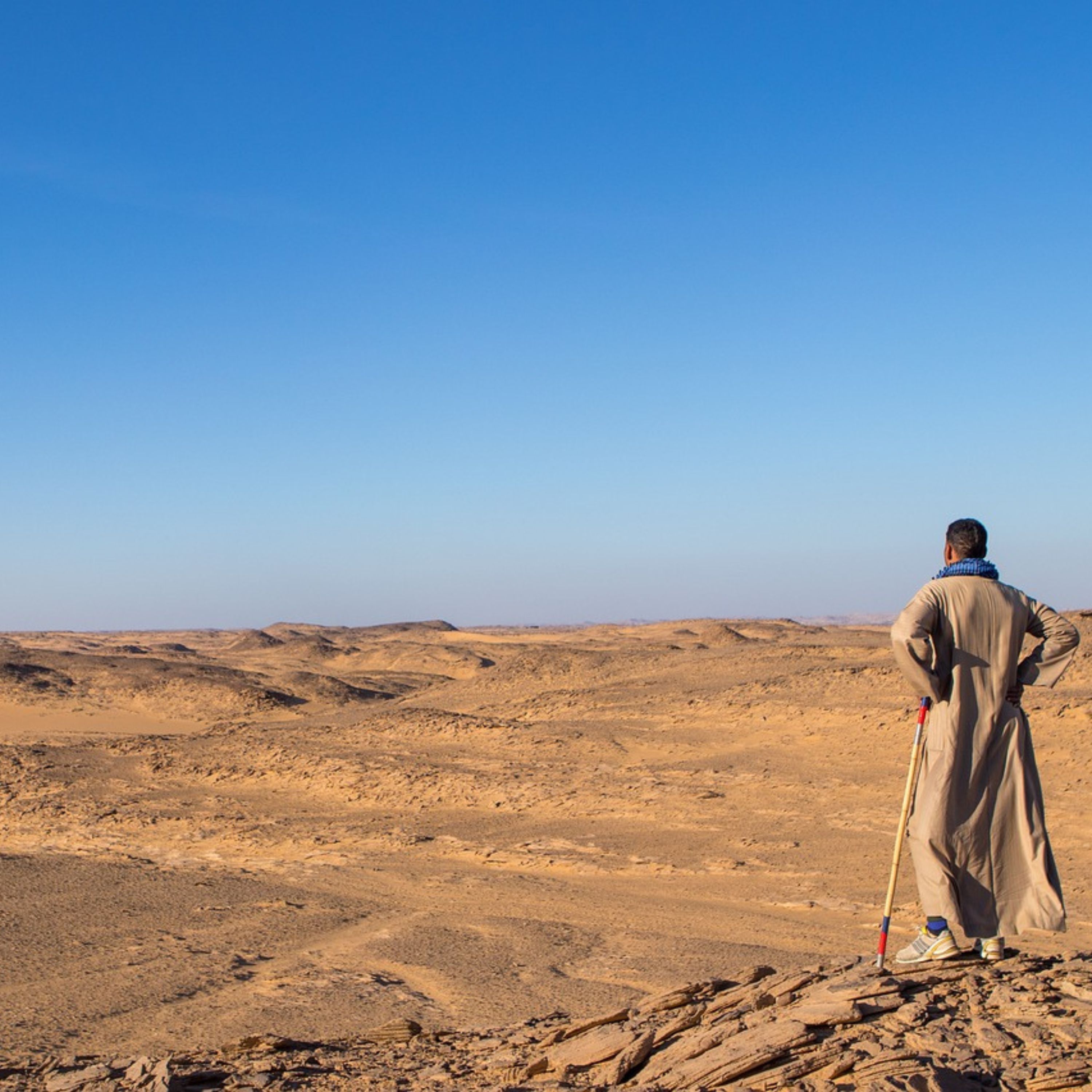 11. Promise Keeping: Moses, Pharaoh and the Faithful God Part 1 episode artwork
