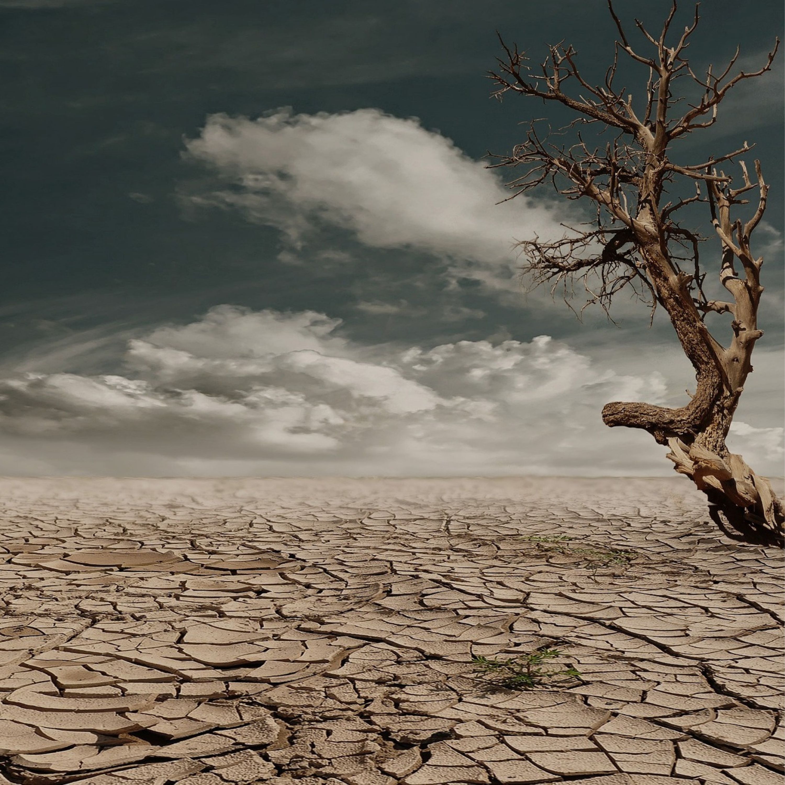 1. A Kind Drought: Elijah, Ahab and the Faithful God Part 1 episode artwork