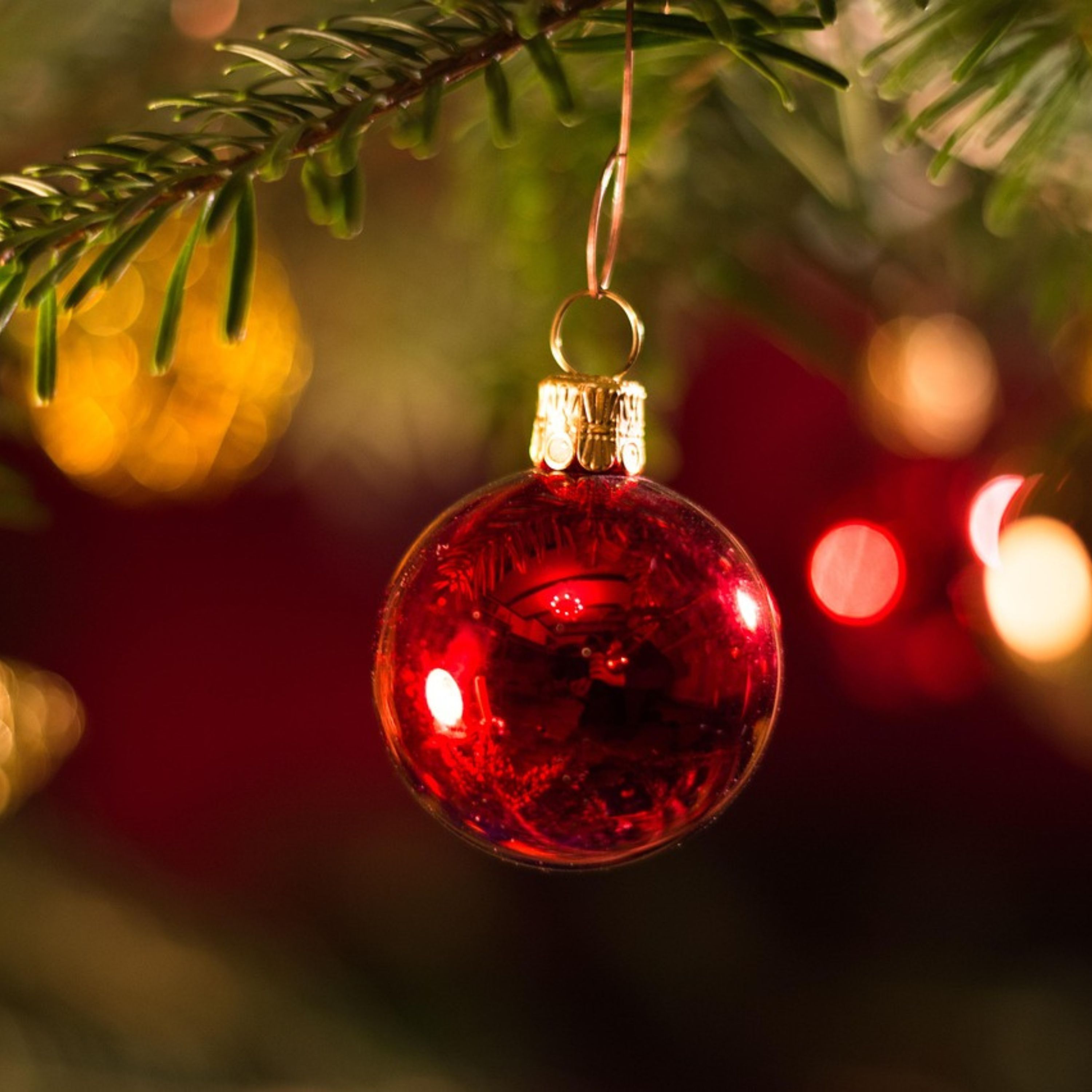 10. Real Joy as We Navigate Christmas episode artwork